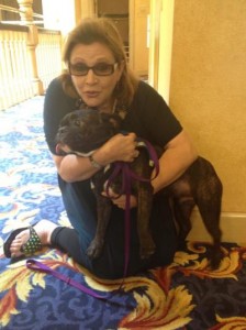 Carrie Fisher with her therapy dog, Gary.